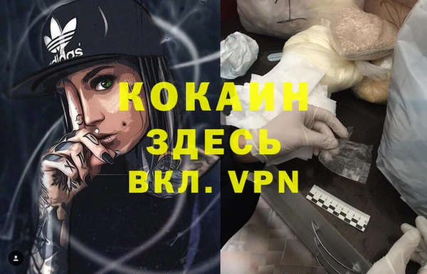 индика Белокуриха