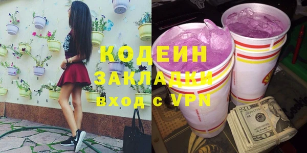 индика Белокуриха