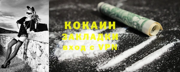 индика Белокуриха