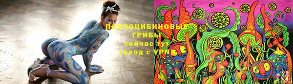 молекула духа Балахна