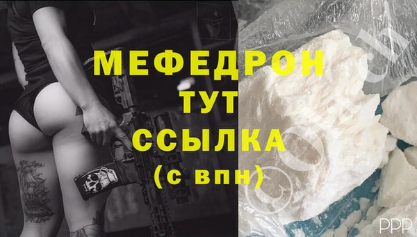индика Белокуриха